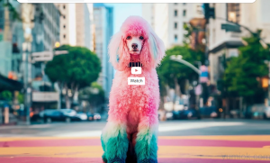 【谷歌套餐】谷歌AI数字水印技术SynthID： 守护内容真实性，抵御虚假信息传播