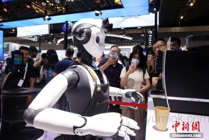 2024世界人工智能大会：人形机器人“十八金刚”闪耀登场