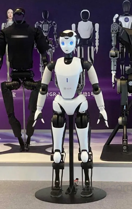 2024世界人工智能大会：人形机器人“十八金刚”闪耀登场
