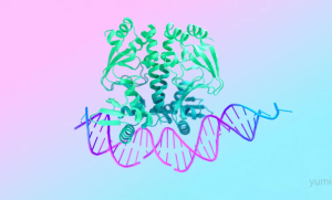 谷歌DeepMind开源AlphaFold3：AI革命引领生物科学新纪元