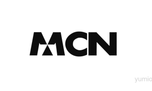 MCN全称是什么？是干什么的？国内有哪些著名的MCN机构？