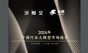 《2024年中国行业大模型市场报告》解读+原文下载