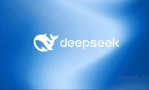 DeepSeek R1模型国内应用加速推进，未来发展态势向好