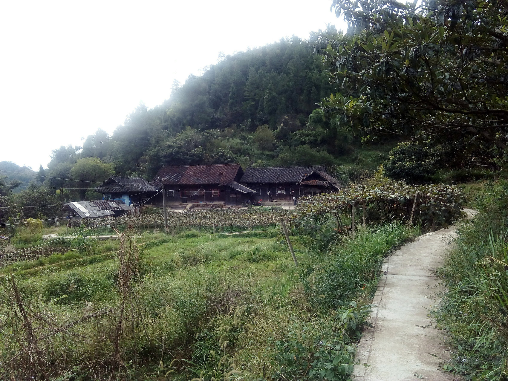 Ai法律问答：城镇户口的你，能继承父母在农村的房屋、宅基地、土地吗？