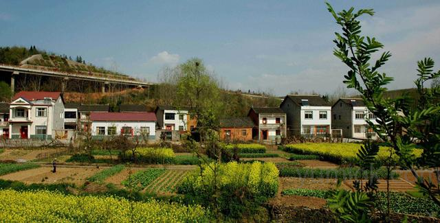 Ai法律问答：城镇户口的你，能继承父母在农村的房屋、宅基地、土地吗？
