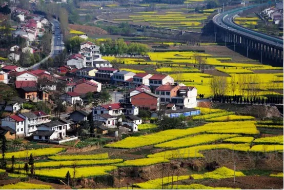 Ai法律问答：城镇户口的你，能继承父母在农村的房屋、宅基地、土地吗？