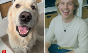 ChatGPT 又整新活：将宠物变成人，掀起宠物拟人化热潮