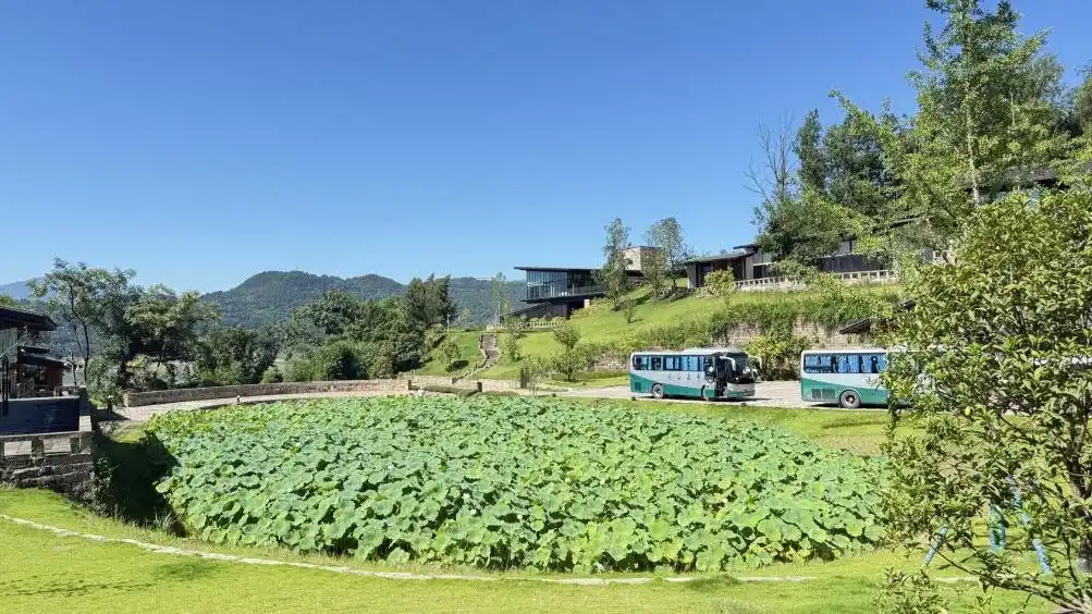 “乡游悠”：重庆发布全国首个乡村休闲旅游全场景服务ai平台
