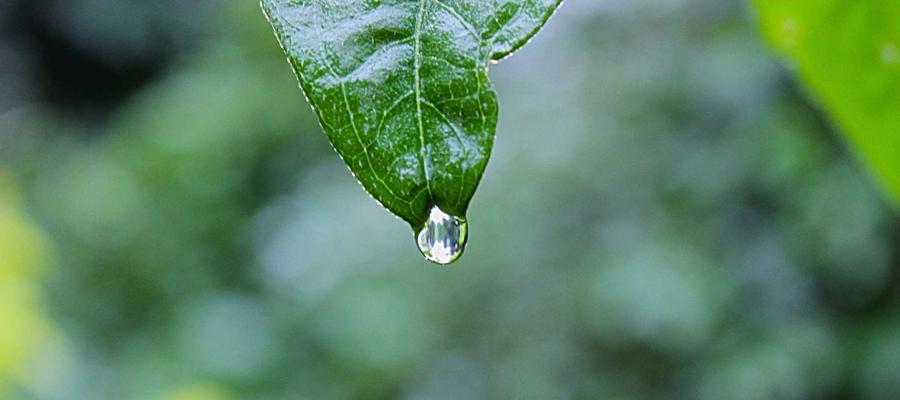 中国 AI 大模型技术实力展示