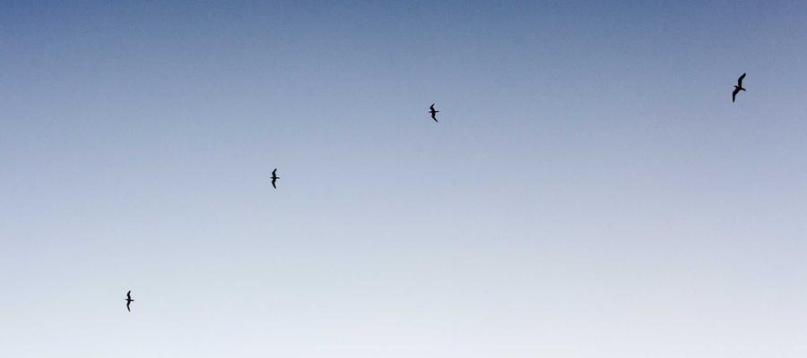 百度 DuClaw 云服务