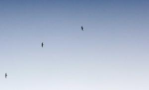 百度智能云发布 DuClaw：零部署 AI 服务，降低智能体应用门槛