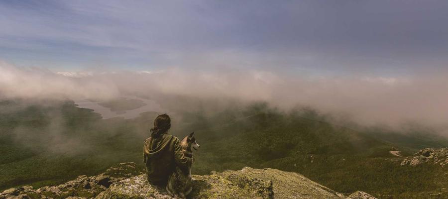 小米 MiMo 人工智能大模型