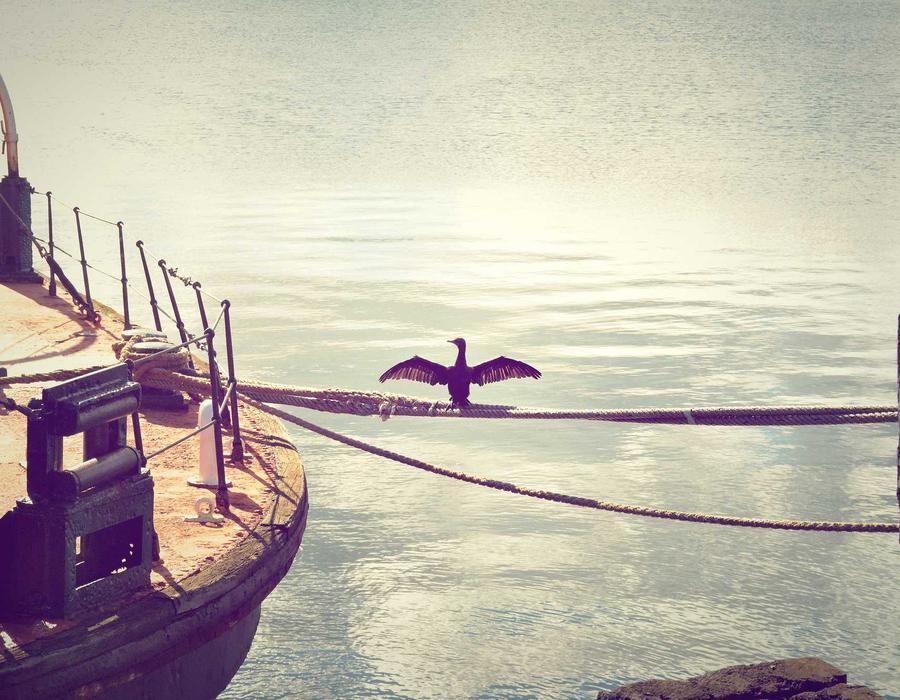 Grok4.20 市场定位前景