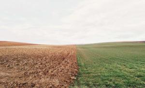 阿里云发布手机一键养虾产品 JVS Claw：3 分钟实现养虾自由