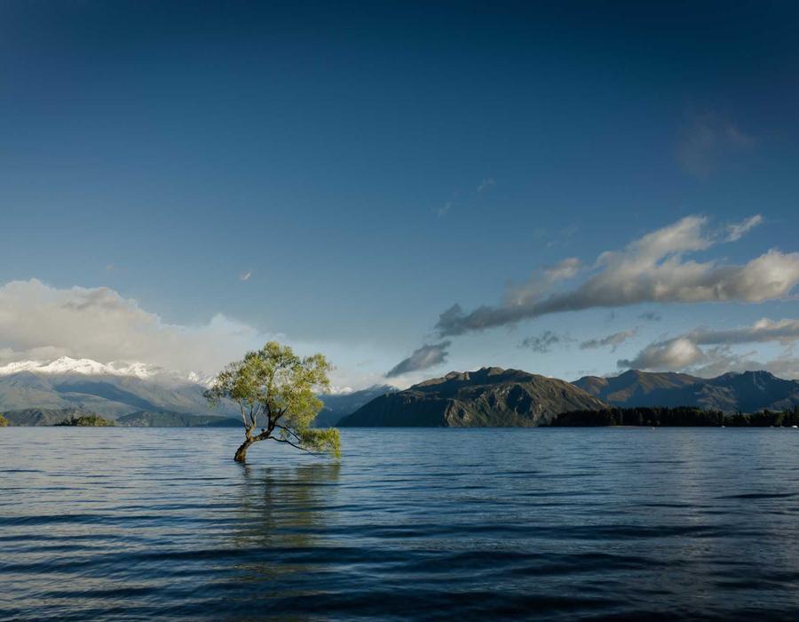 多平台生态整合应用