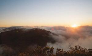 出货量破 800 万颗！董明珠的'芯'事成了：格力自研芯片杀入 AI'主动服务'时代