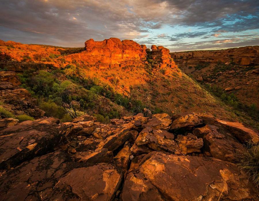 Claude 4 与 o3 对比