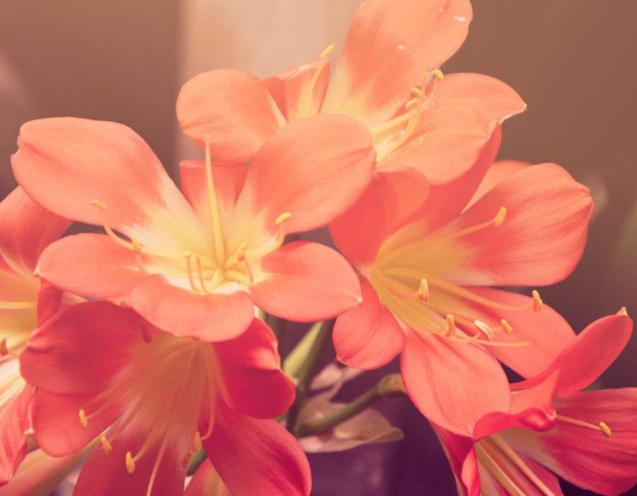 AI 机器人未来工作场景