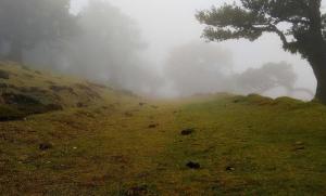 腾讯内测 AI 问股小程序！大模型全面接入证券咨询服务