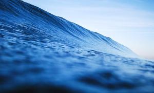 仅靠219个字！AI耗时12小时设计出完整CPU，传统研发需18-36个月