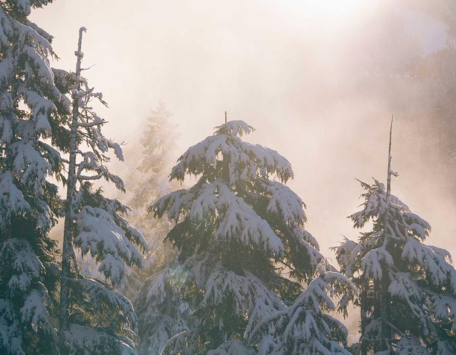 供应链网络安全攻击示意图