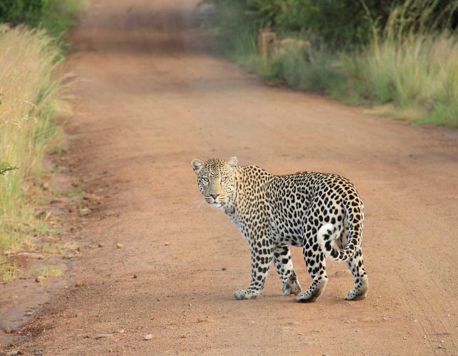 音频波形音乐工作室