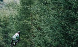 特斯拉 Optimus 人形机器人全面迈向量产：2026 年夏季启动生产，5 年年产 100 万台