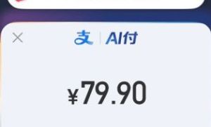 蚂蚁DTClaw上线AI支付：说句话就能让「龙虾」帮你买单