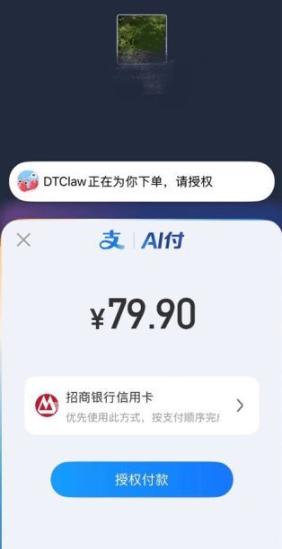 DTClaw AI支付功能
